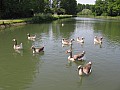 Copie de IMG_0304.jpg